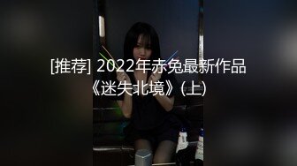 [推荐] 2022年赤兔最新作品《迷失北境》(上) 