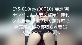 EYS-010(eys00010)[妄想族]ナンパした人妻を部屋に連れ込み勝手に撮影して無許可で発売連れ込み寝取られ妻12人240分スペシャル