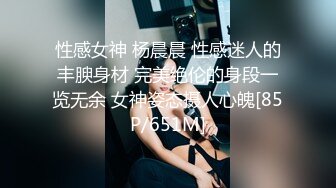 性感女神 杨晨晨 性感迷人的丰腴身材 完美绝伦的身段一览无余 女神姿态摄人心魄[85P/651M]