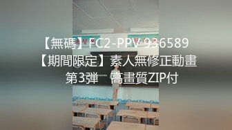 【無碼】FC2-PPV 936589 【期間限定】素人無修正動畫　第3弾　高畫質ZIP付