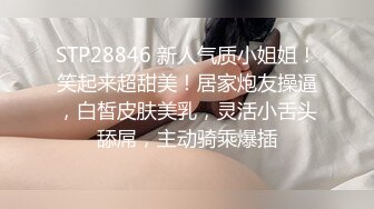 STP28846 新人气质小姐姐！笑起来超甜美！居家炮友操逼，白皙皮肤美乳，灵活小舌头舔屌，主动骑乘爆插