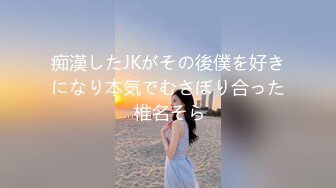 痴漢したJKがその後僕を好きになり本気でむさぼり合った 椎名そら