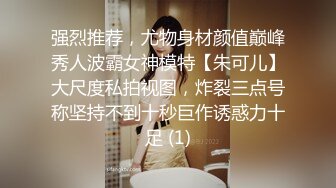 强烈推荐，尤物身材颜值巅峰秀人波霸女神模特【朱可儿】大尺度私拍视图，炸裂三点号称坚持不到十秒巨作诱惑力十足 (1)