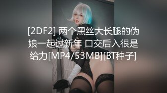 [2DF2] 两个黑丝大长腿的伪娘一起过新年 口交后入很是给力[MP4/53MB][BT种子]