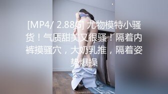 [MP4/ 2.88G] 尤物模特小骚货！气质甜美又很骚！隔着内裤摸骚穴，大奶乳推，隔着姿势爆操