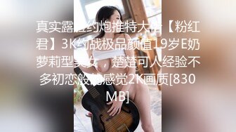 真实露脸约炮推特大佬【粉红君】3K约战极品颜值19岁E奶萝莉型美女，楚楚可人经验不多初恋般的感觉2K画质[830MB]