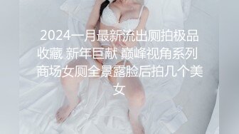 2024一月最新流出厕拍极品收藏 新年巨献 巅峰视角系列 商场女厕全景露脸后拍几个美女