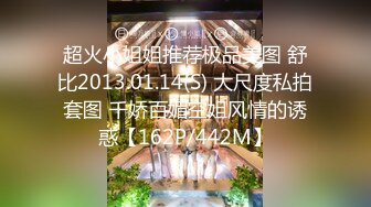 超火小姐姐推荐极品美图 舒比2013.01.14(S) 大尺度私拍套图 千娇百媚空姐风情的诱惑【162P/442M】