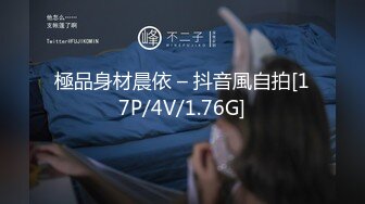 極品身材晨依 – 抖音風自拍[17P/4V/1.76G]