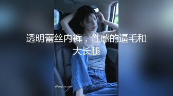 透明蕾丝内裤，性感的逼毛和大长腿