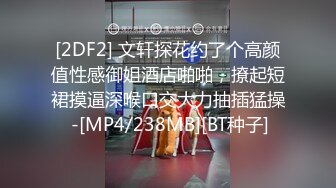 [2DF2] 文轩探花约了个高颜值性感御姐酒店啪啪，撩起短裙摸逼深喉口交大力抽插猛操 -[MP4/238MB][BT种子]