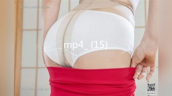 mp4_ (15)