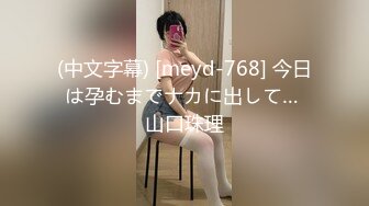 (中文字幕) [meyd-768] 今日は孕むまでナカに出して… 山口珠理