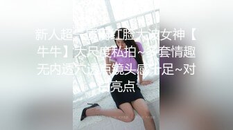 新人超气质网红脸大波女神【牛牛】大尺度私拍~多套情趣无内透穴透点镜头感十足~对白亮点