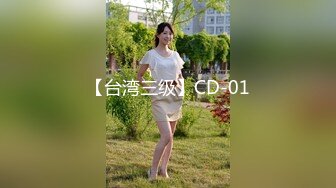 【台湾三级】CD-01